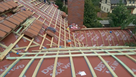 Лесники (реконструкция)