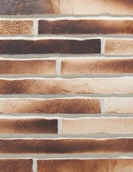 451 gold-braun RIEGEL